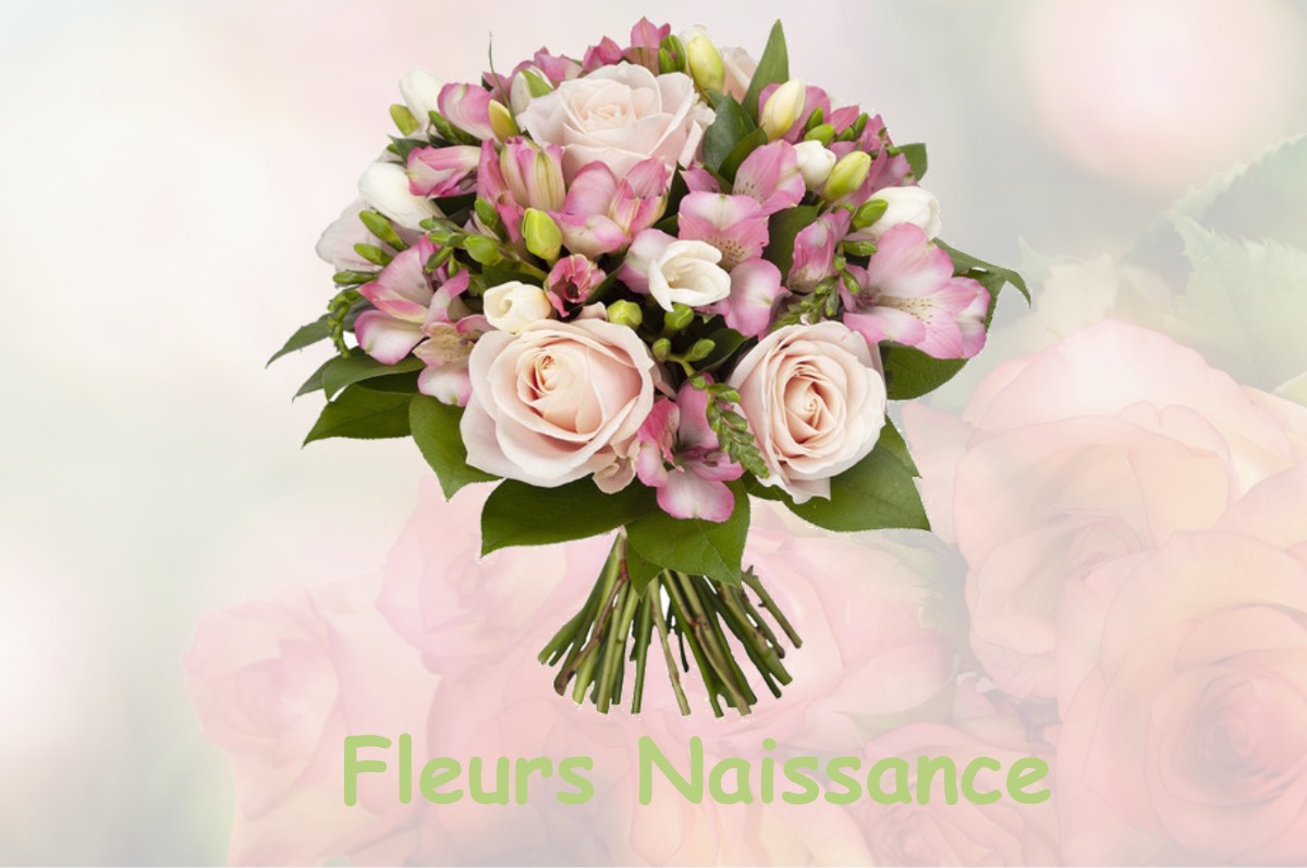 fleurs naissance SAINT-MARTIN-DE-CONNEE